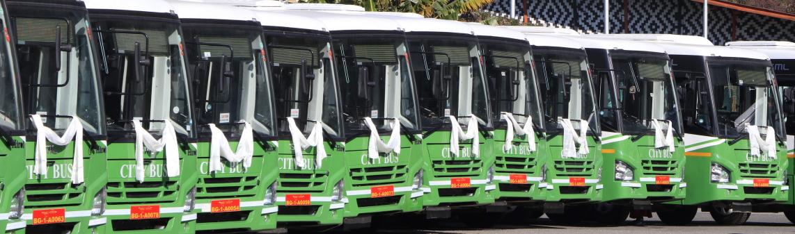 Bus